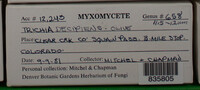 Image Associated With the Occurence